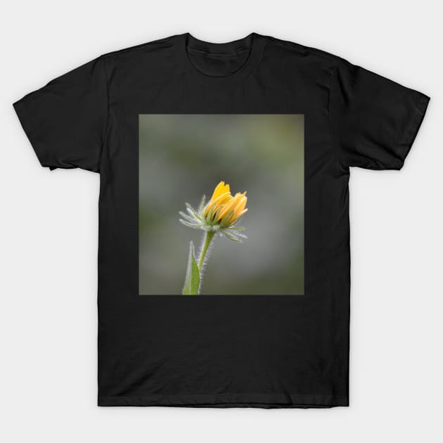 Blooming T-Shirt by ToniaDelozier